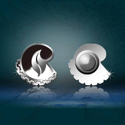 商務(wù)定制禮品的藝術(shù) 從紀(jì)念章、銀幣到項(xiàng)目策劃的全方位公關(guān)解決方案